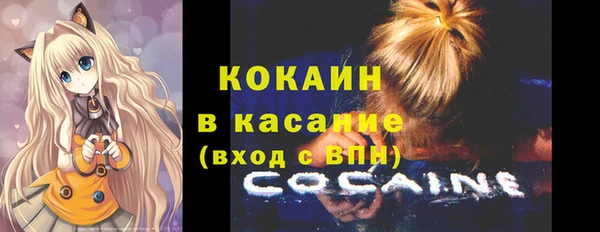 кокс Касимов