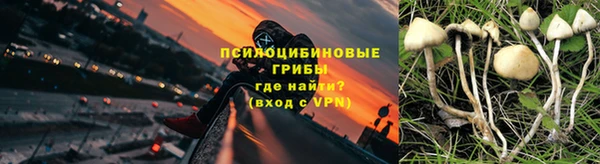 кокс Касимов