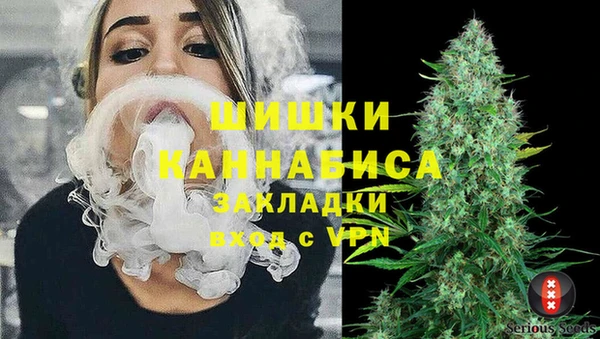 кокс Касимов