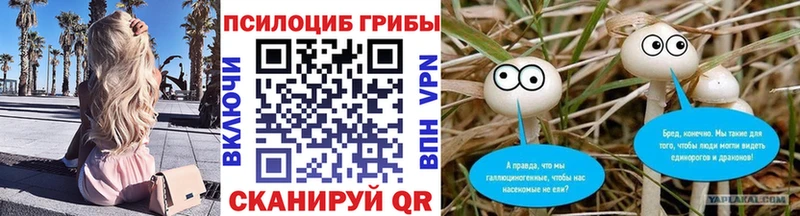Купить где  Голицыно  Галлюциногенные грибы GOLDEN TEACHER 